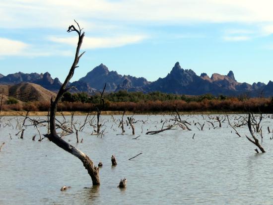 Havasu National Wildlife Refuge